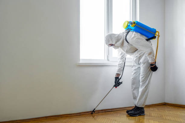 Best Organic or Eco-Friendly Pest Control  in Rden, WA